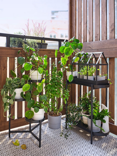 ASKHOLMEN plant stand acacia - IKEA