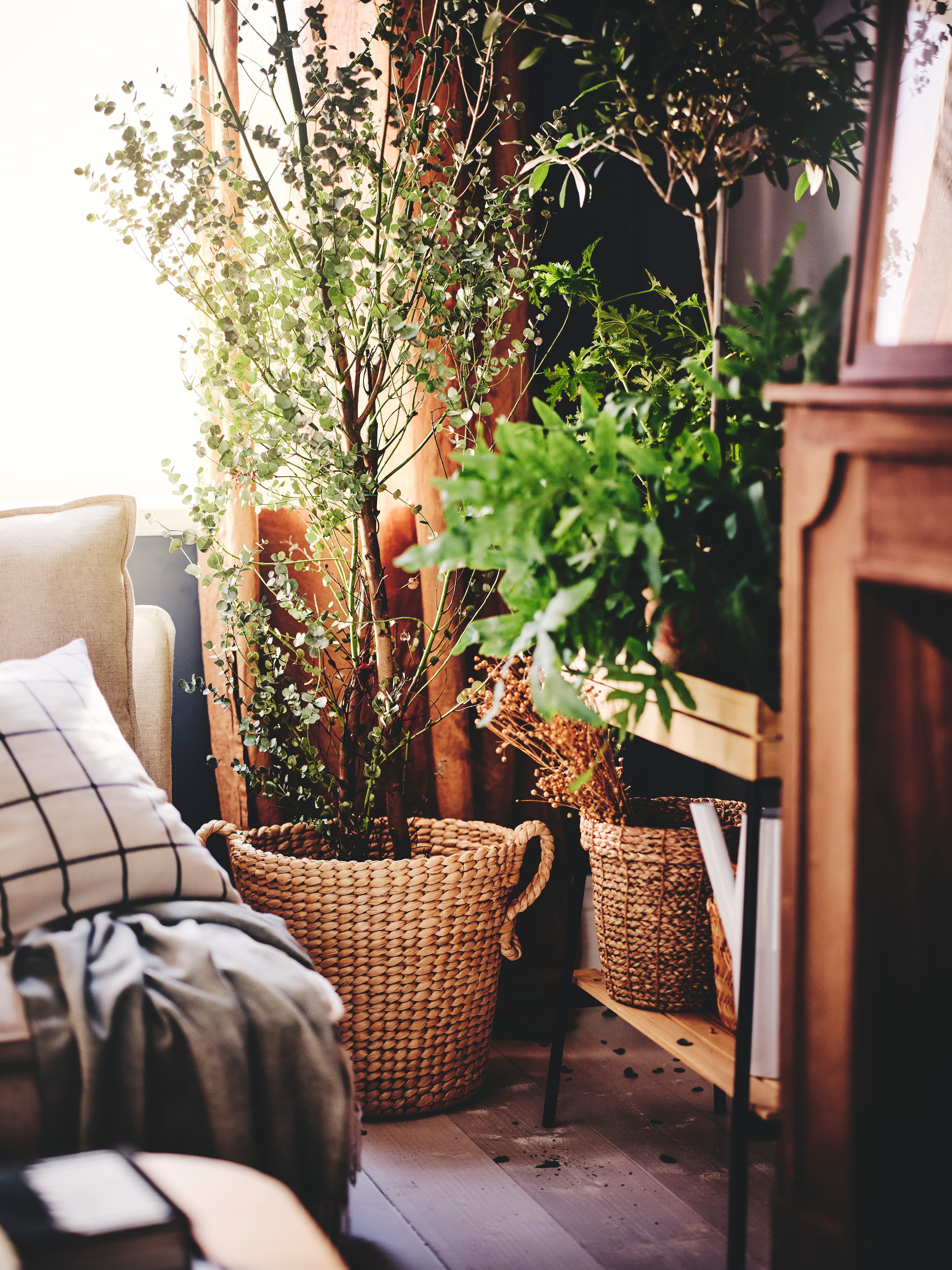 ASKHOLMEN plant stand acacia - IKEA