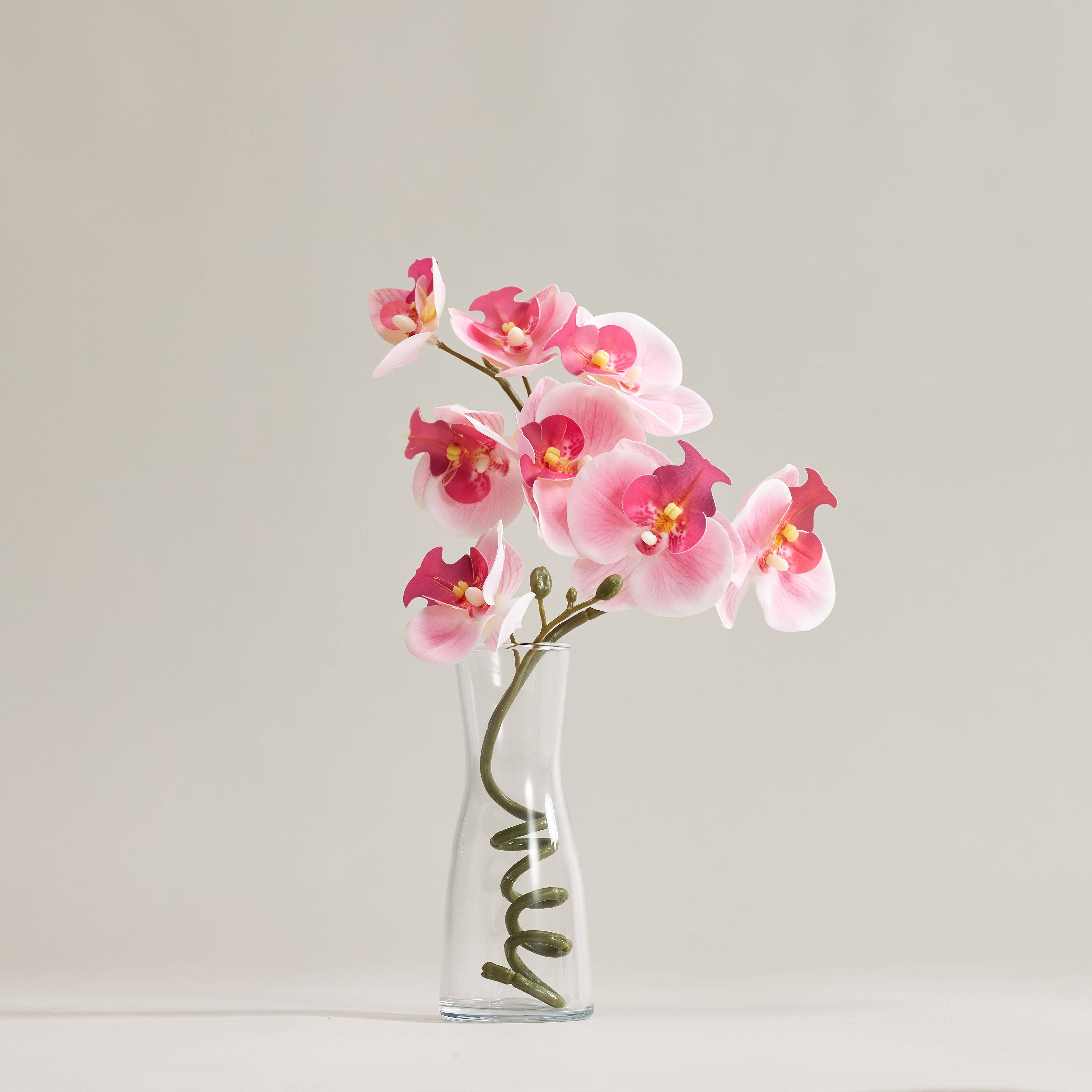 【花瓶+花束】粉韵兰香