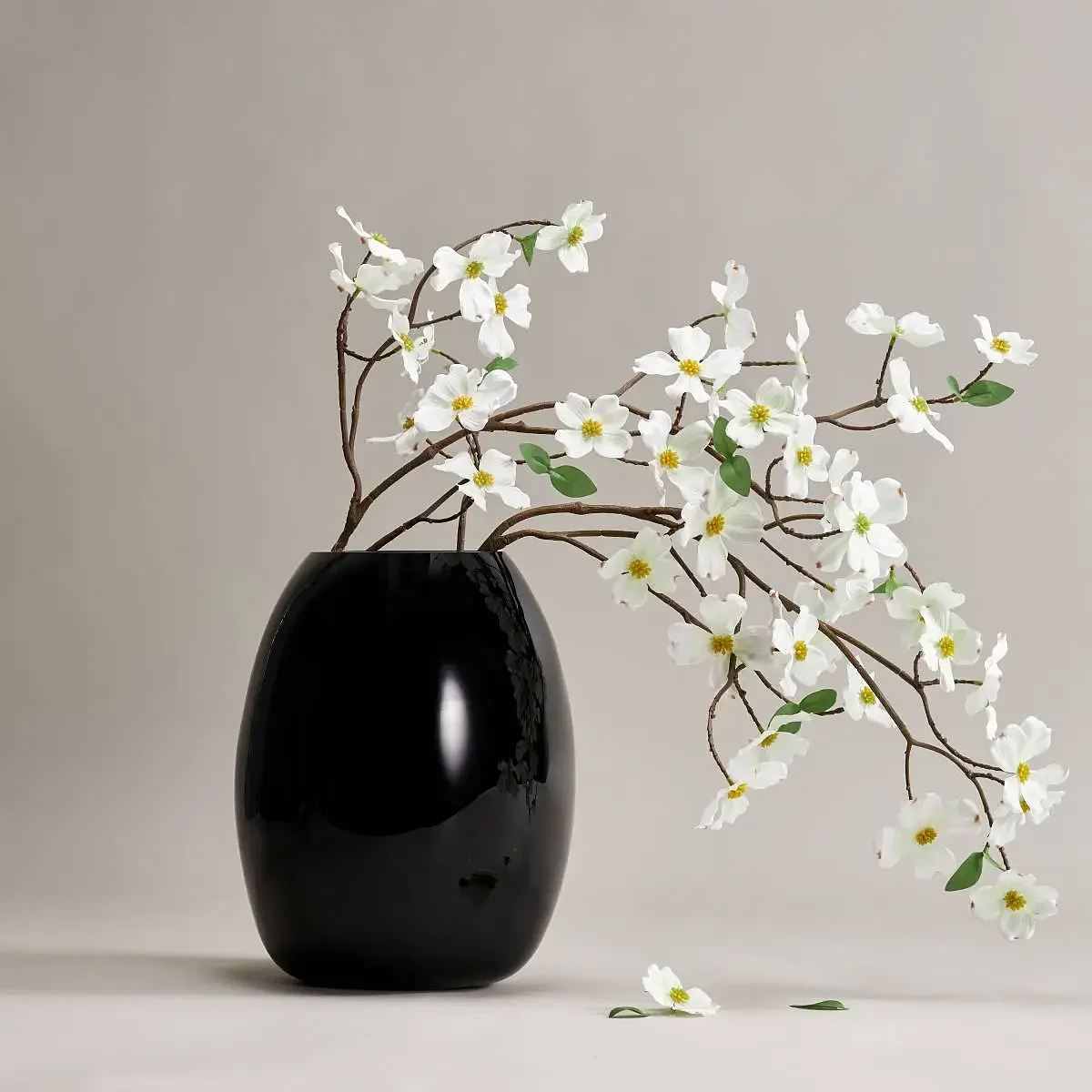 【花瓶+花束】夜空白羽